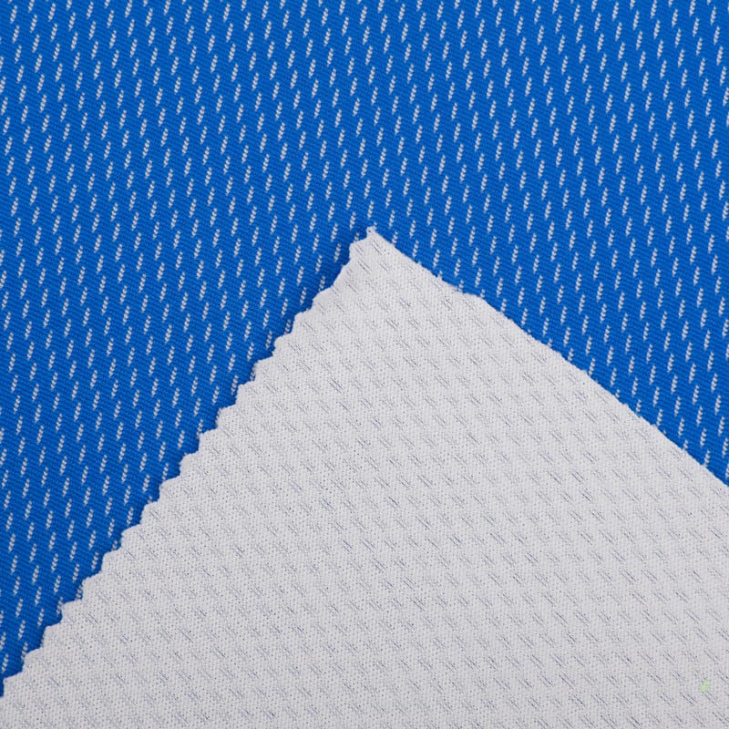 190Gsm 100% Catonic Polyester 2 Color Bird Eye Mesh Fabric